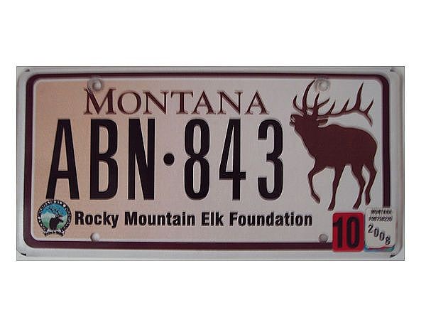 US - Grafiknummernschild Montana mit Elchmotiv