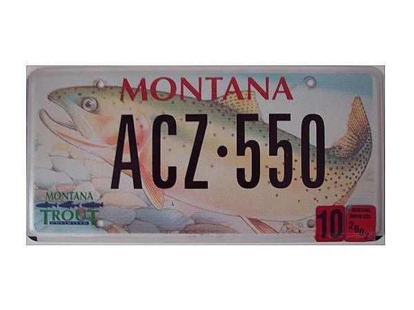 Original US-Grafiknummernschild Montana Fisch