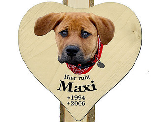 <em>Grabmahl mit Holzherz</em> und Foto ihres Lieblings 