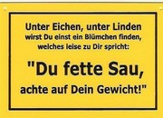 Schild als Postkarte mit Spruch: Du fette Sau 