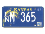 Original Kansas Nummernschild 