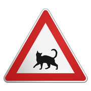 Dreieckiges Verkehrsschild mit Motiv - Katze - 