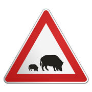 Dreieckiges Verkehrsschild mit Motiv - Wildschweine - 