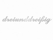 Edelstahl-Hausnummer als Zahlwort bis max. 15 Buchstaben - H&ouml;he: 100 mm 