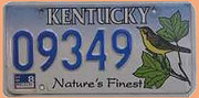 US - Grafiknummernschild Kentucky 