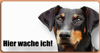 Grafik Schilder mit Tiermotiven