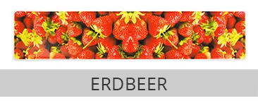 Erdbeer_web_s