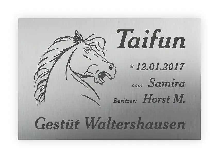 Hochwertiges Schild für Pferdebox aus Edelstahl mit Lasergravur 30 x 20 cm