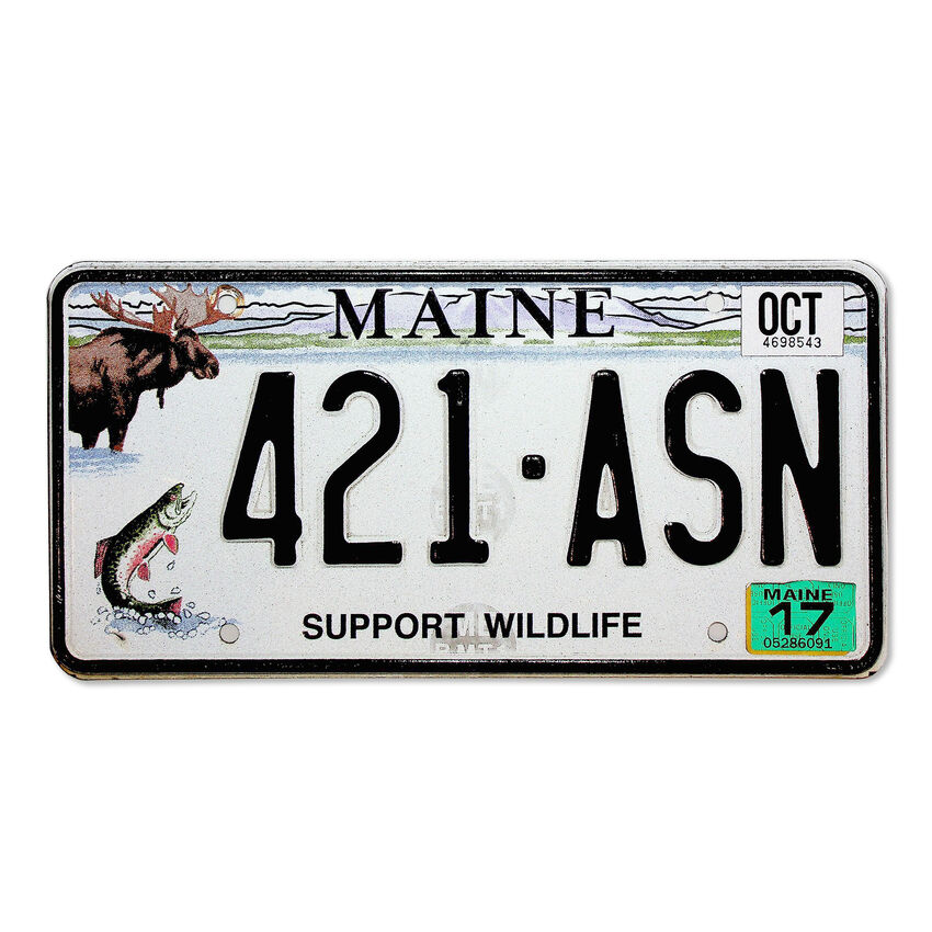 US Kennzeichen Maine