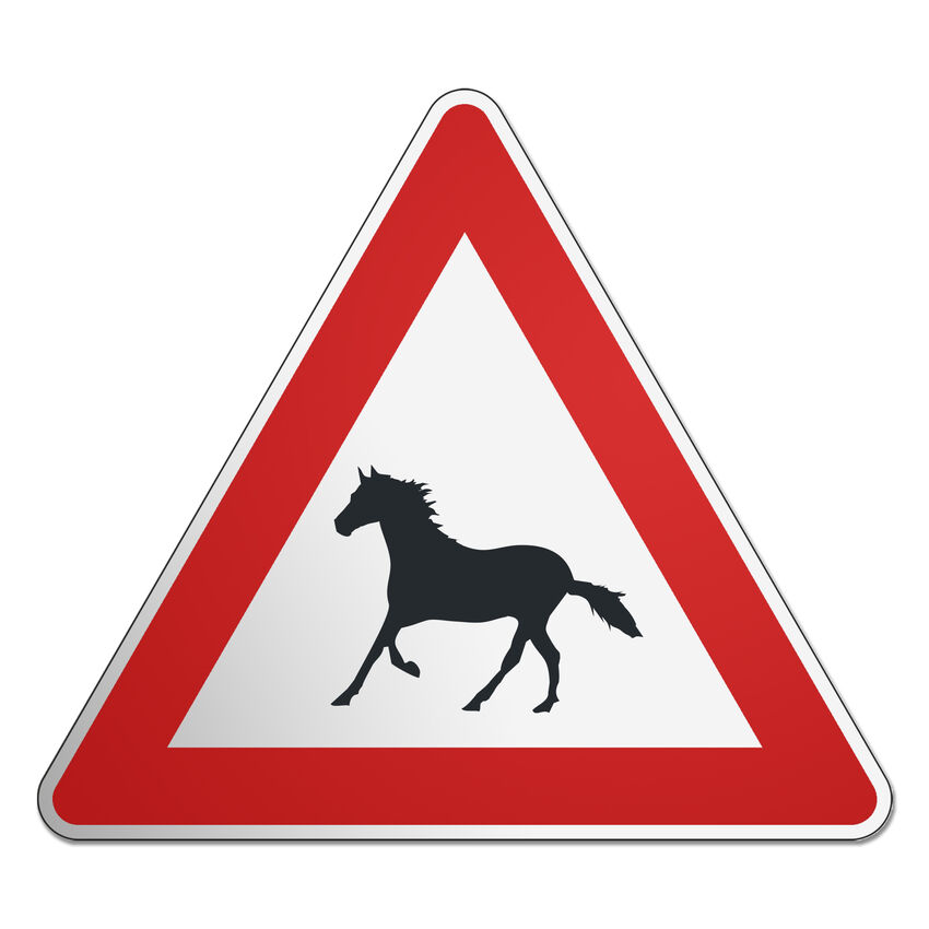 Dreieckiges Verkehrsschild mit Pferdemotiv und Wunschtext