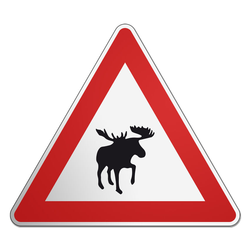 Kanadisches Verkehrsschild Elch - das Verkehrszeichen aus Kanada