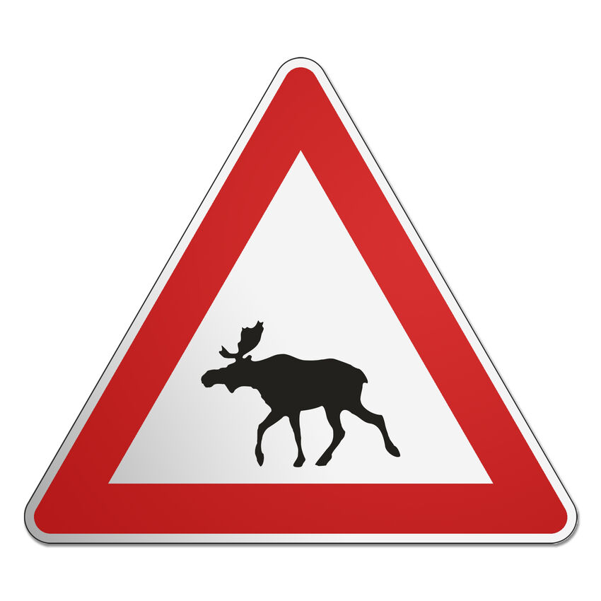 Norwegisches Verkehrsschild Elch - das Verkehrszeichen aus Norwegen