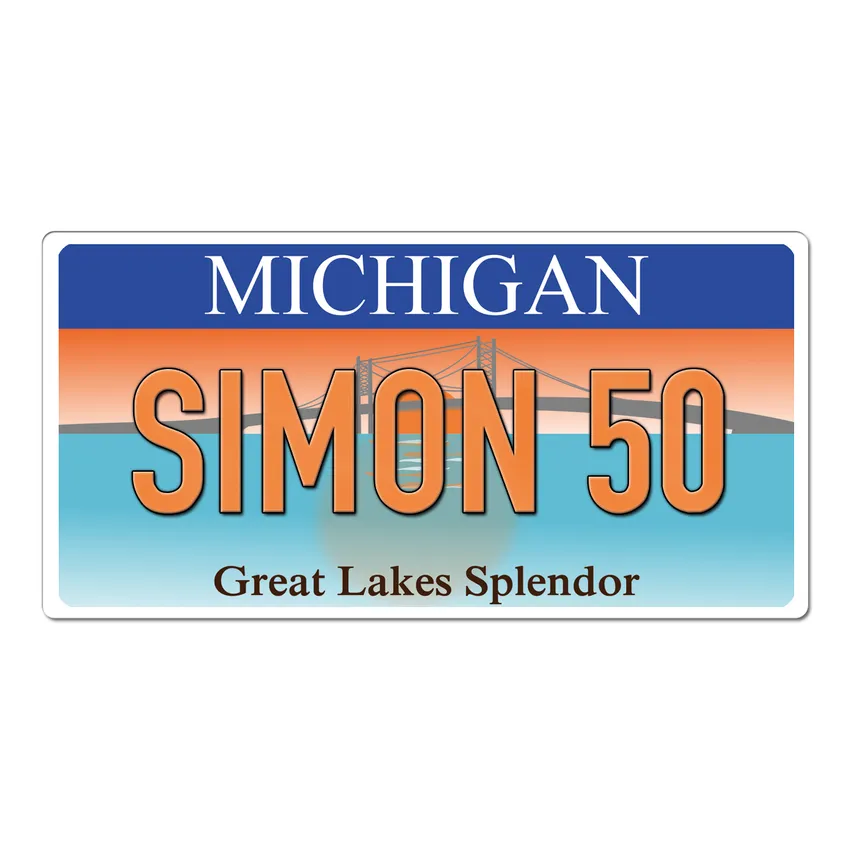 Michigan USA Dekoschild mit individuellem Wunschtext bedruckt 30 x 15 cm