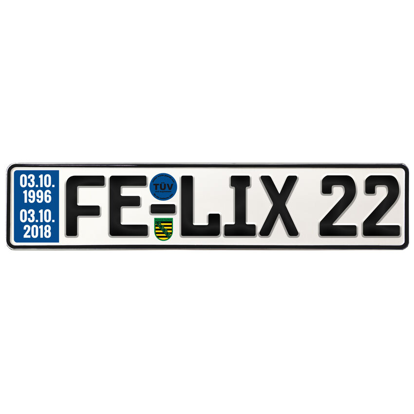 Geburtstagsgeschenk Schild mit TV zum 22. Geburtstag