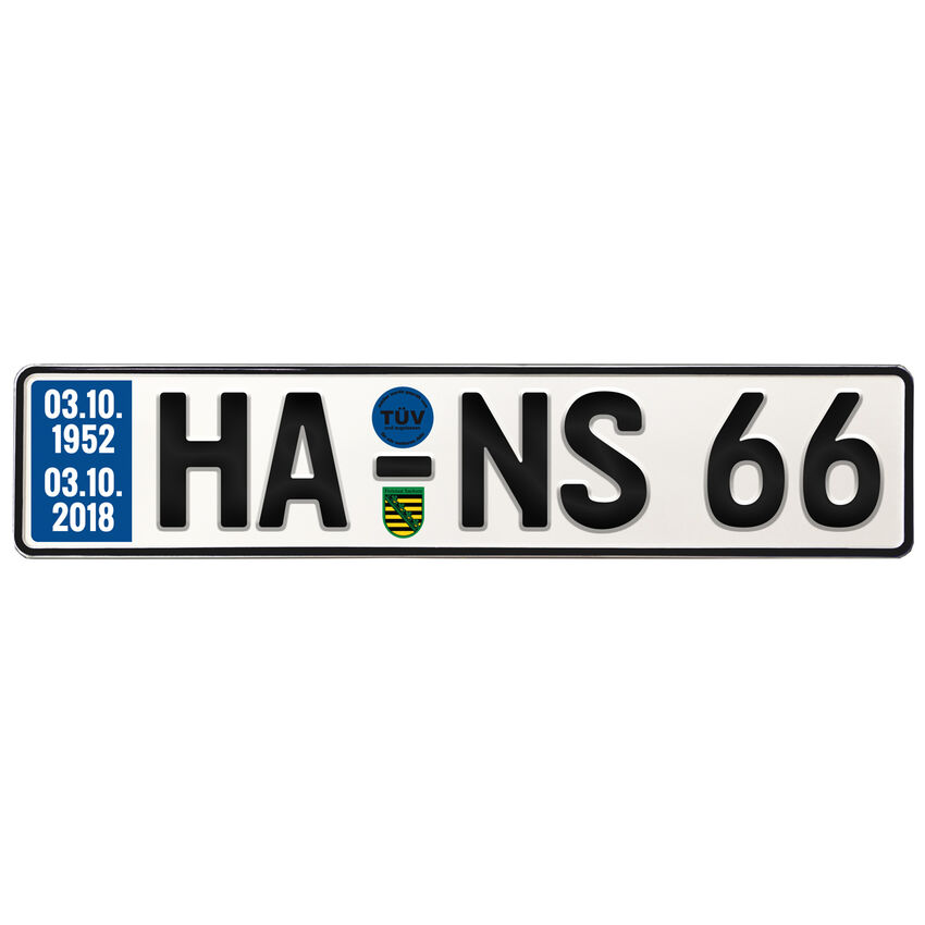 Geburtstagsgeschenk Schild mit TV zum 66. Geburtstag