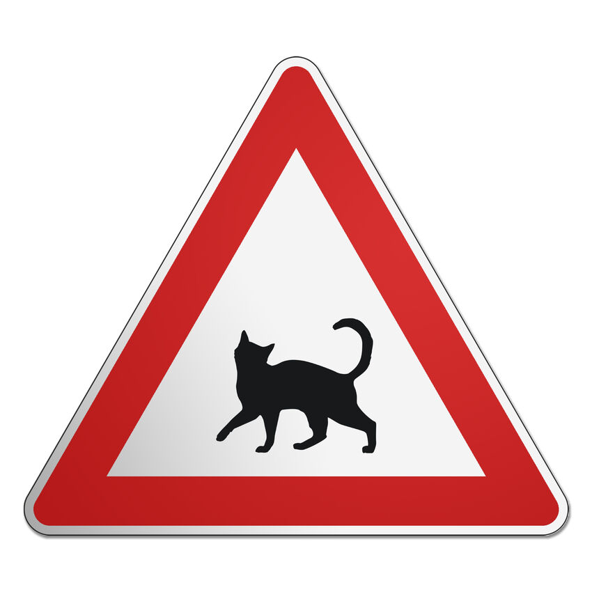 Dreieckiges Verkehrsschild mit Motiv - Katze -