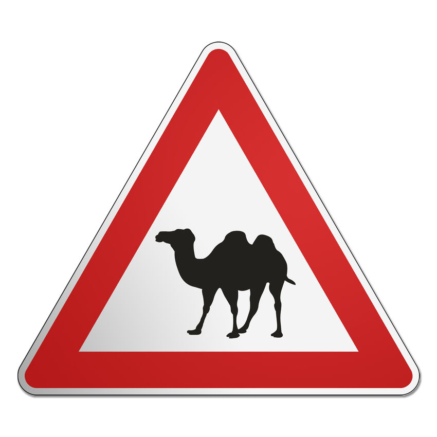 Verkehrsschild dreieckig mit Kamel