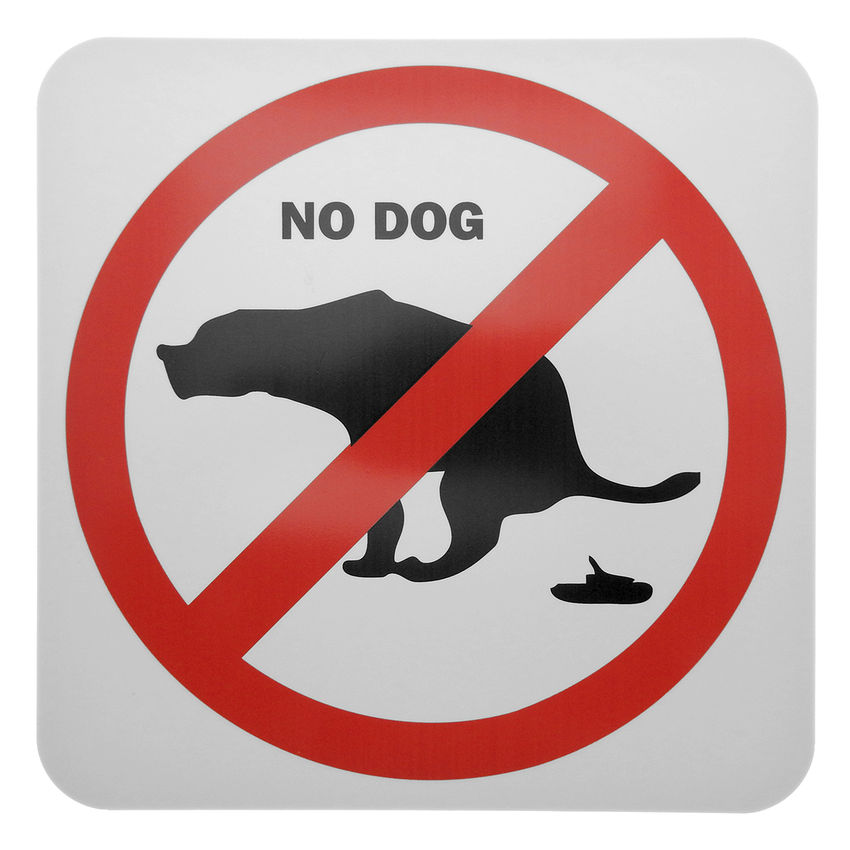 Verbotsschild Hunde aus PVC - Hunde verboten - no dog