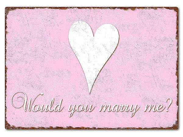 Would you marry me? Schild A4 rosa
