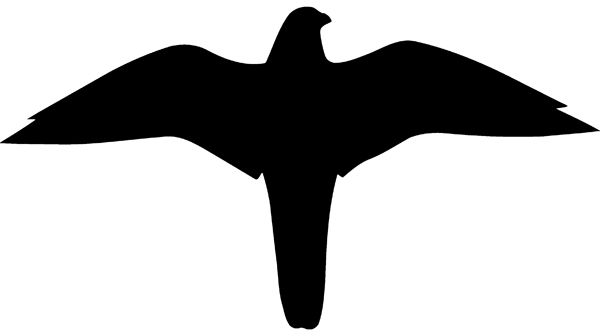 Hinweisschild »Symbol -Falke-«