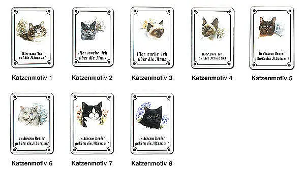 Katzenrassen zur Auswahl 