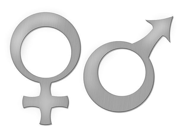 Edelstahl-Piktogramme Frau+Mann 2er-Set WC-Symbole H=120 mm selbstklebend
