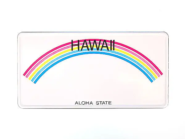 Funschild Hawaii  - Größe: 30x15 cm
