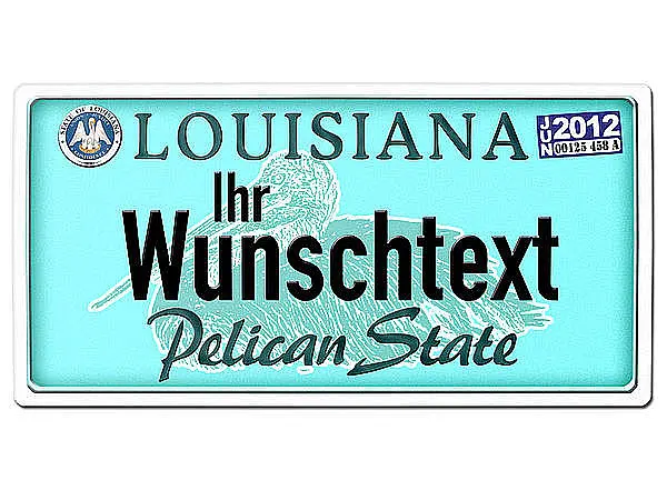 Texas USA Dekoschild - Kfz-Kennzeichen mit Wunschtext bedruckt 30 x 15 cm -  Schilder online kaufen
