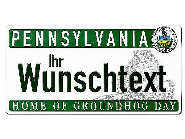 Pennsylvania USA Dekoschild - Kfz-Kennzeichen mit Wunschtext bedruckt 30 x  15 cm