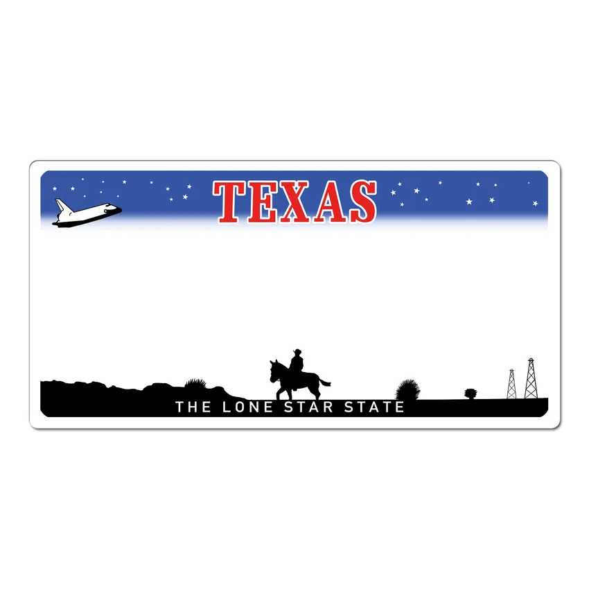 Texas USA Dekoschild - Kfz-Kennzeichen mit Wunschtext bedruckt 30 x 15 cm -  Schilder online kaufen