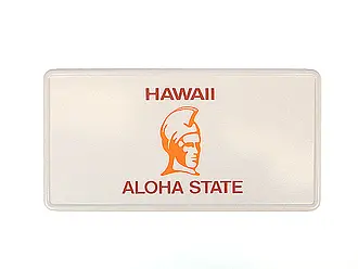 Funschild Hawaii  - Größe: 30x15 cm