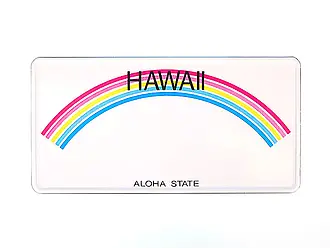 Funschild Hawaii  - Größe: 30 x 15 cm