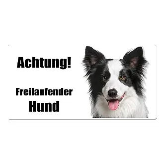 Hundwarnschild mit Border Collie