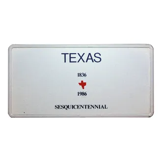 Funschild Texas  - Größe: 30 x 15 cm