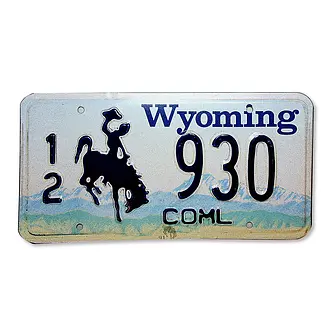 US Nummernschild Wyoming - original Nummernschild aus den USA - Schilder  online kaufen