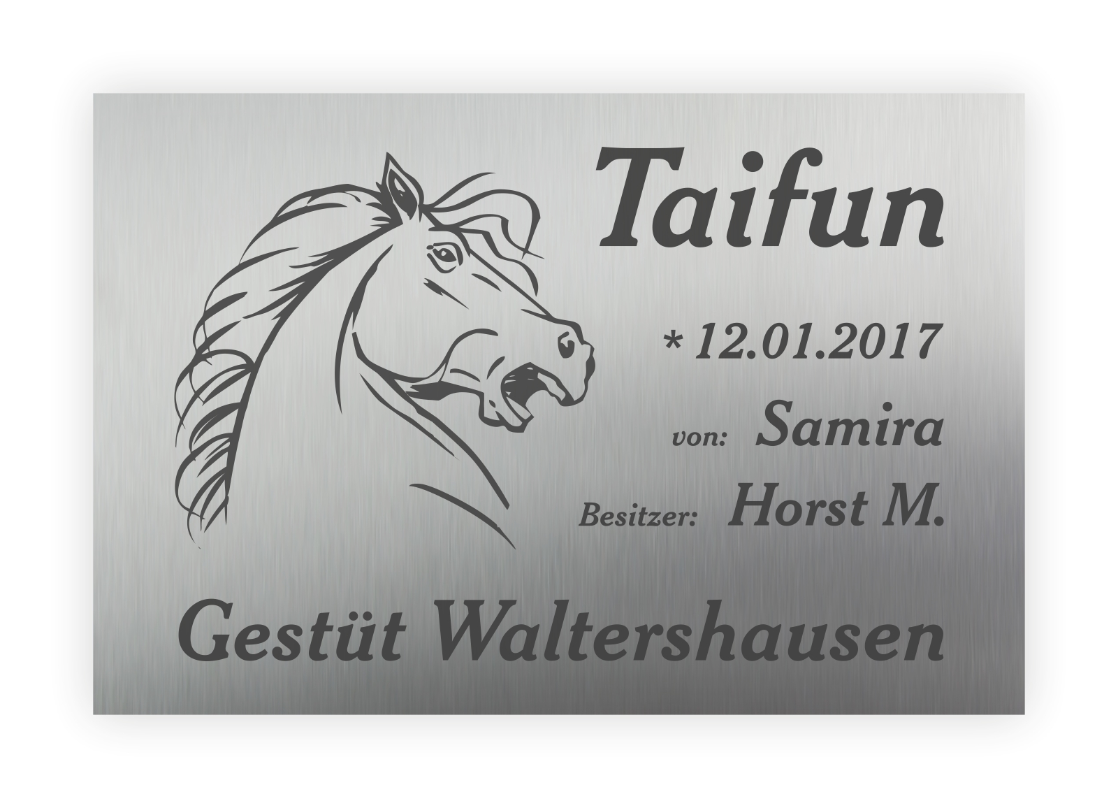 Hochwertiges Schild für Pferdebox aus Edelstahl mit Lasergravur 30 x 20 cm