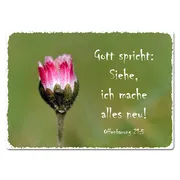 Blechschild A4 mit Jahreslosung 2026 "Siehe, ich mache alles neu!" | …