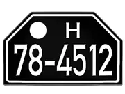 Historisches Nummernschild Hessen 48-56 Variante: neu