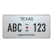 Funschild Texas  - Größe: 30 x 15 cm