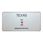 Funschild Texas  - Größe: 30 x 15 cm