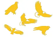 Vogelsilhouetten