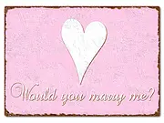 Schild Would you marry me?