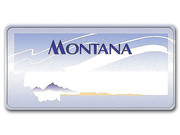 Aluminiumschild Montana - personalisiert Mit diesem Schild bieten wir Ihnen ein individuelles KFZ Kennzeichen, welches nach dem Vorbild eines originalen US Nummernschildes aus Montana gestaltet ... Montana USA Kennzeichen Dekoschild mit individuellem Wunschtext bedruckt