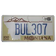 US Fahrzeugschild Montana