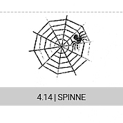 4-14-spinne_s