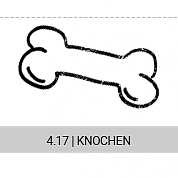 4-17-knochen_s