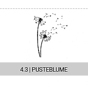 4-3-pusteblume_s