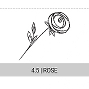 4-5-rose_s